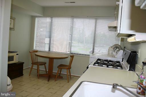 9822 Georgia Avenue, Unit 19201 Silver Spring, MD 20902 - Photo 13 of 14 a kitchen with a stove a sink cabinets and a window