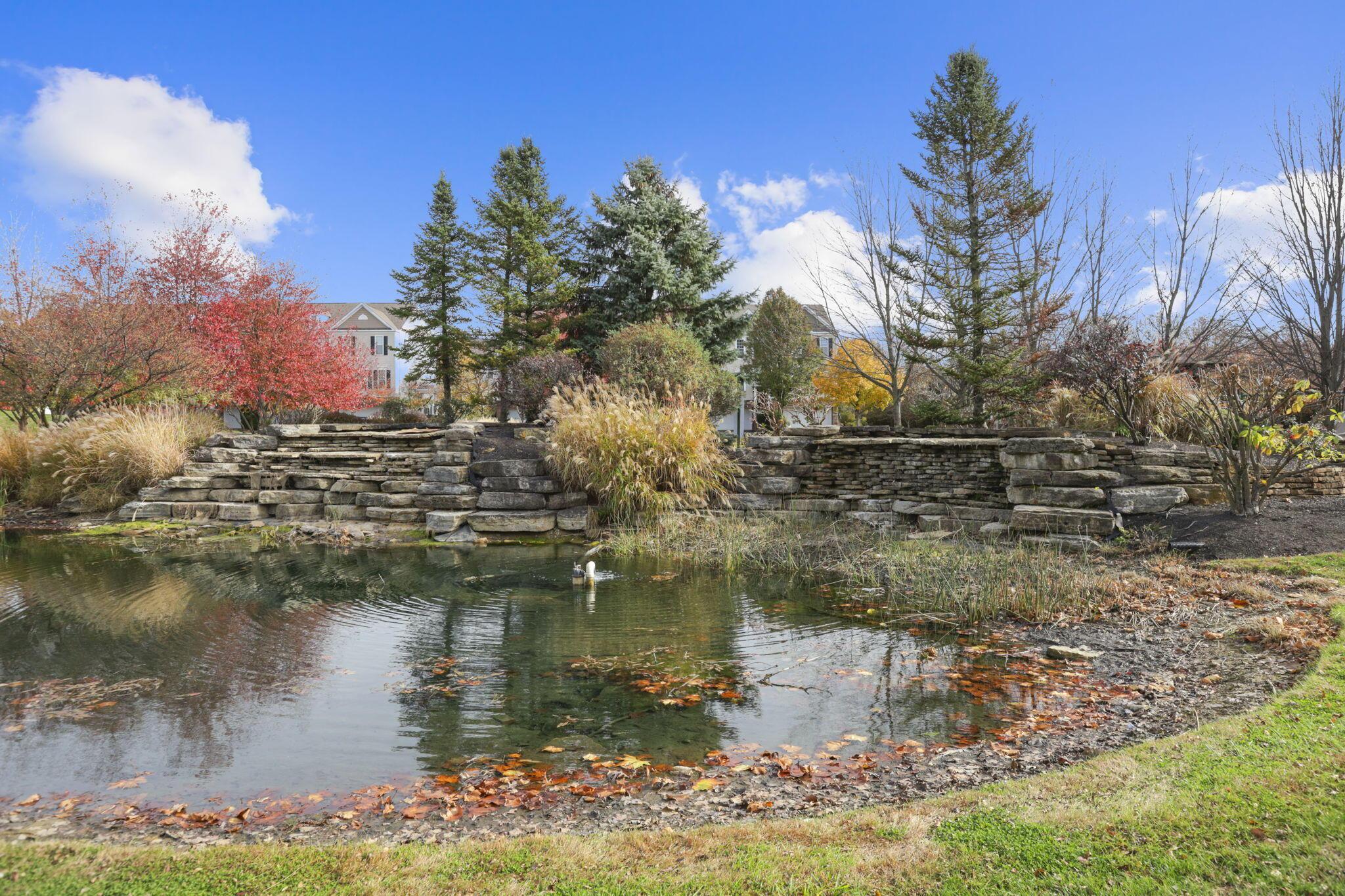 6313 Chetti Drive Columbus, OH 43213 - Photo 82 of 88 Pond / Lush Landscaping