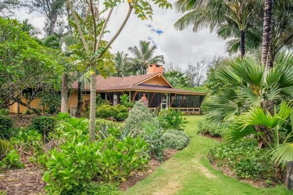 5600 Weke Road Hanalei, HI 96714 - Photo 1 of 25 a view of a garden with a house
