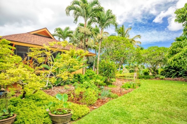 5600 Weke Road Hanalei, HI 96714 - Photo 15 of 25 a view of yard with green space