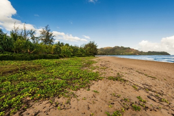 5600 Weke Road Hanalei, HI 96714 - Photo 16 of 25 a view of lake and mountain view