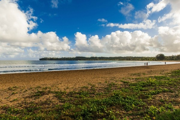 5600 Weke Road Hanalei, HI 96714 - Photo 17 of 25 a view of an ocean and beach