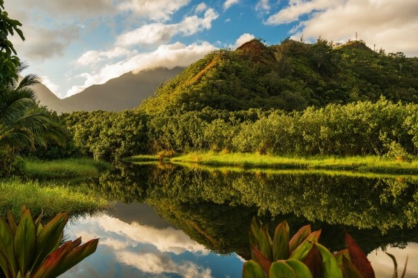 5600 Weke Road Hanalei, HI 96714 - Photo 19 of 25 a view of a lake from a yard