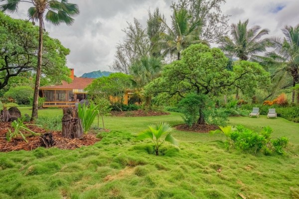 5600 Weke Road Hanalei, HI 96714 - Photo 8 of 25 a backyard of a house with lots of green space