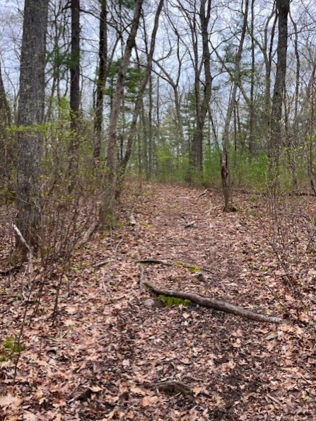 93 Aldrich Road Glocester, RI 02857 - Photo 5 of 13