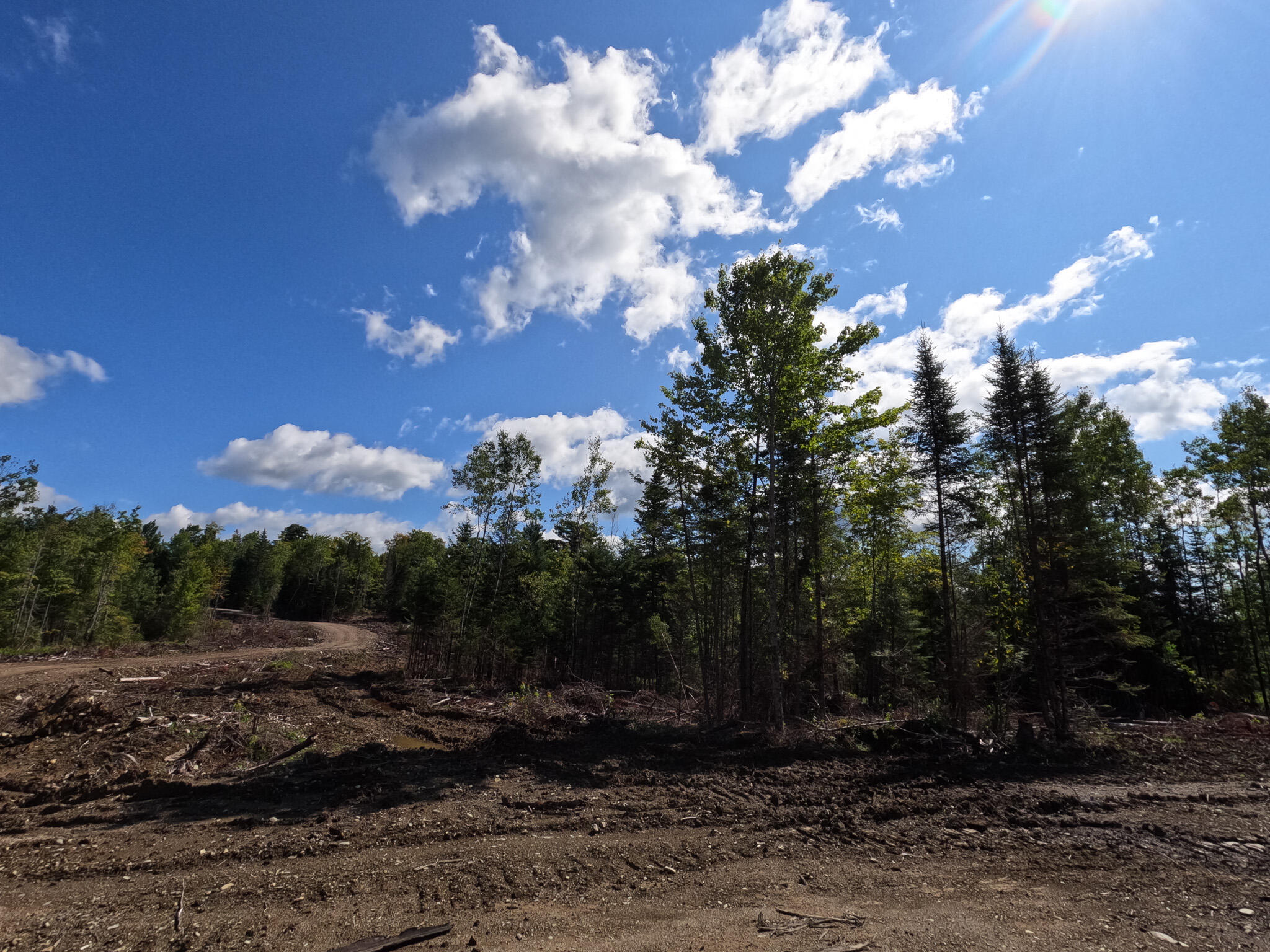 Lot 28 Murray Road Thorndike, ME 04986 - Photo 13 of 38 GOPR1623