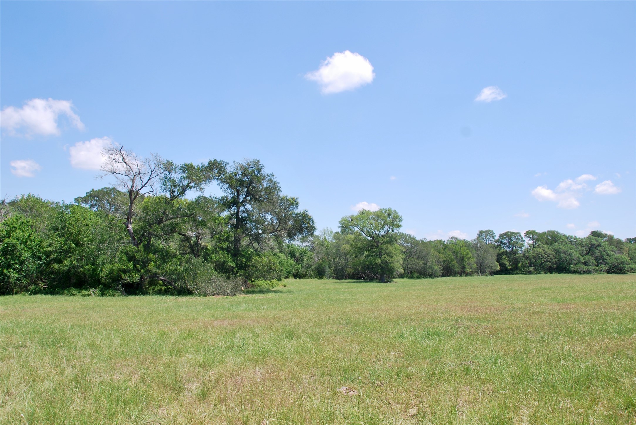 3703 Muehr Road Weimar, TX 78962 - Photo 7 of 29