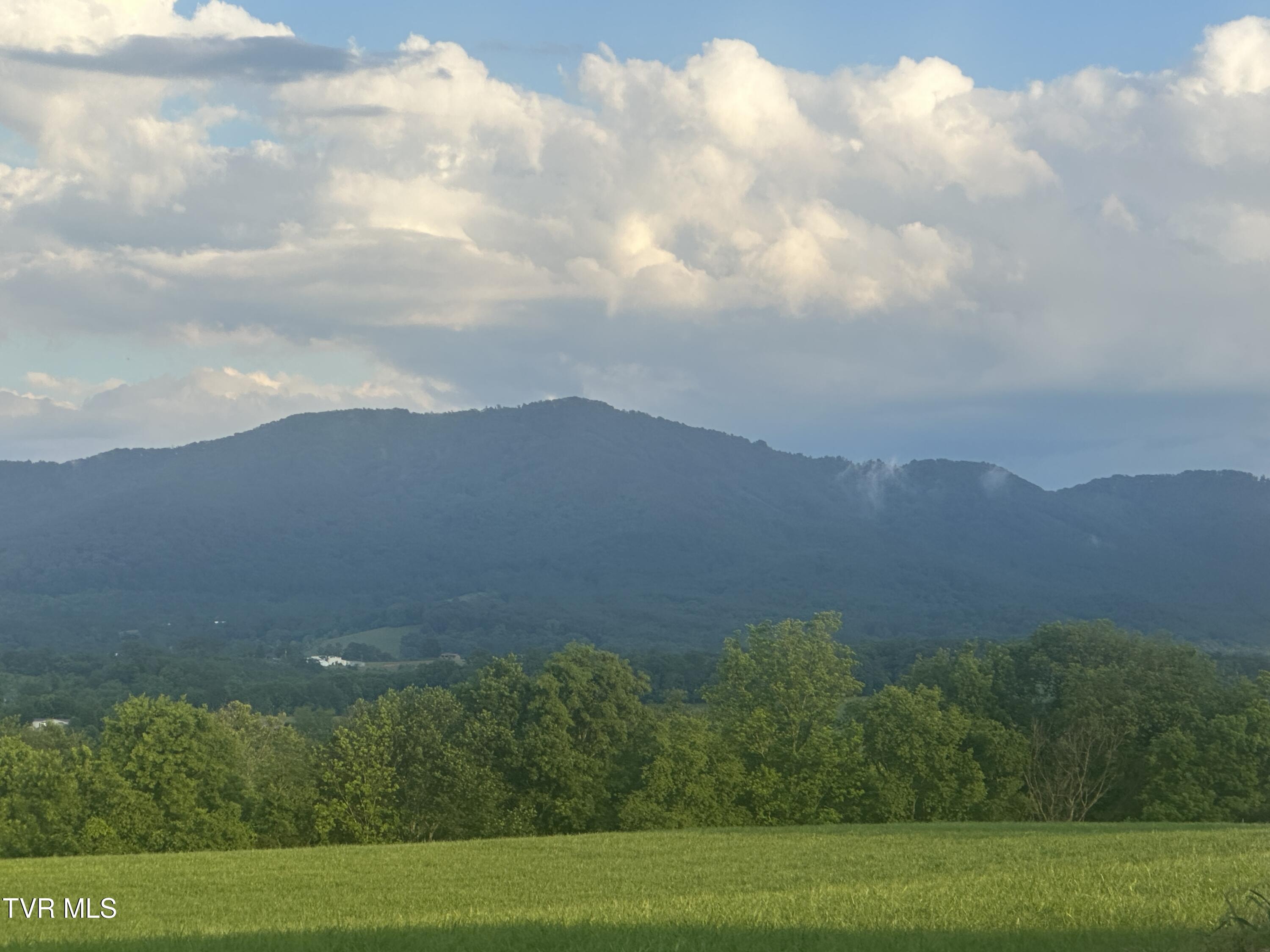 1070 Nolichuckey Road Greeneville, TN 37743 - Photo 63 of 66 IMG_4779