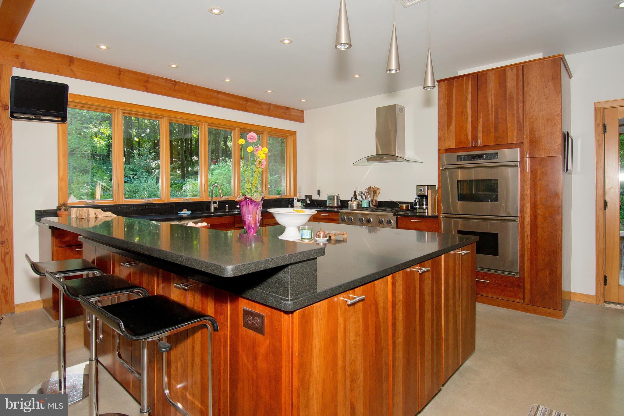 278 Cafferty Road Pipersville, PA 18947 - Photo 6 of 55