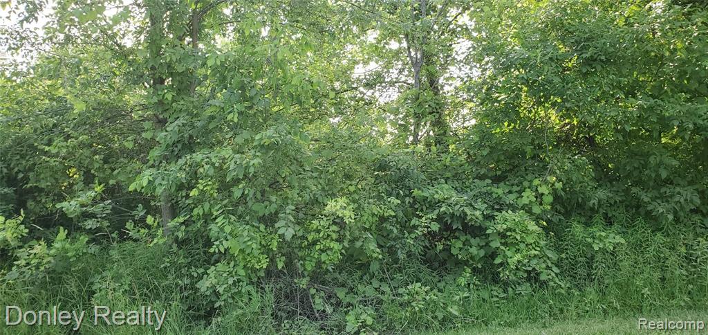 99999 Bentley Road Brown City, MI 48416 - Photo 3 of 3