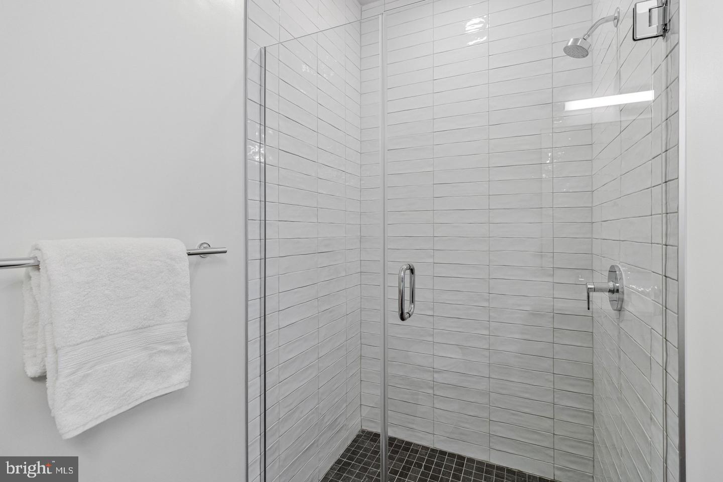 7175 12th Street Northwest, Unit 302 Washington, DC 20012 - Photo 18 of 54 Walk-in shower
