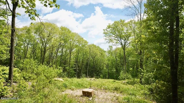 a view of backyard with green space