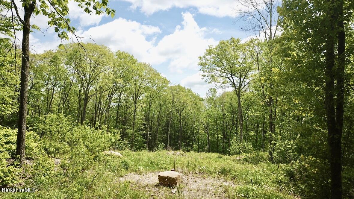a view of backyard with green space