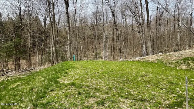 a view of backyard with tree