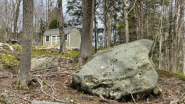 a view of a backyard with large trees