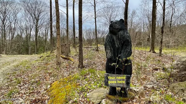 a view of a bench in a yard