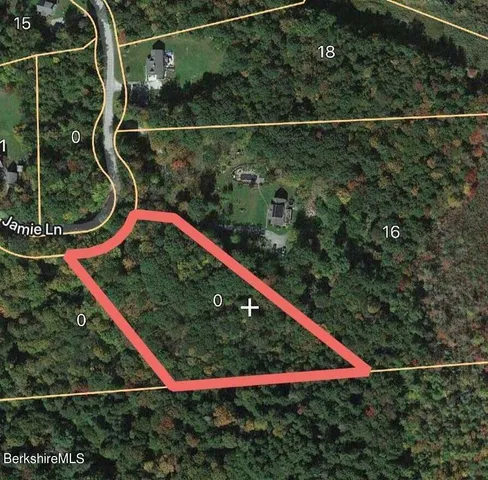 a view of a small yard and potted plants