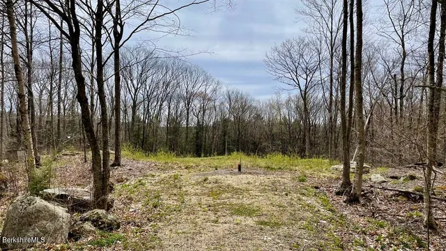 a view of outdoor space with trees