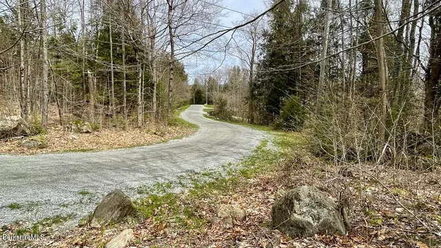 a view of a yard with large trees