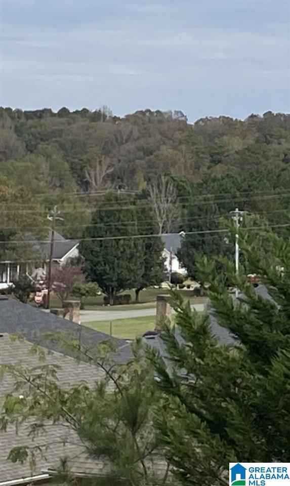 400 Oak Hill Road Anniston, AL 36201 - Photo 36 of 37