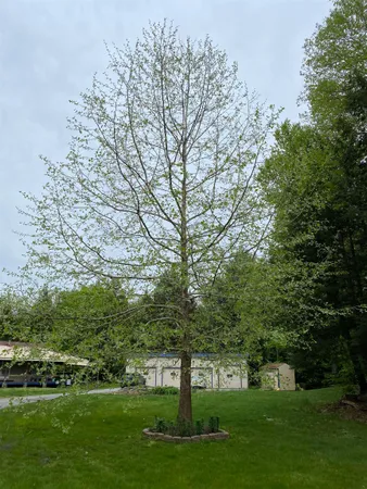 $340,000 | 85 Breezy Acres Drive, Vernon, VT 05354