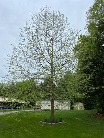 $325,000 | 85 Breezy Acres Drive, Vernon, VT 05354