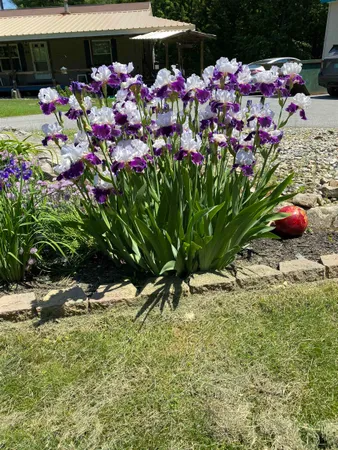 $340,000 | 85 Breezy Acres Drive, Vernon, VT 05354