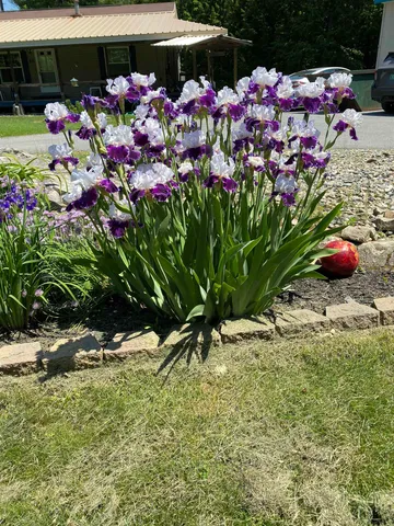 $325,000 | 85 Breezy Acres Drive, Vernon, VT 05354