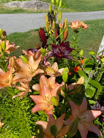 $340,000 | 85 Breezy Acres Drive, Vernon, VT 05354