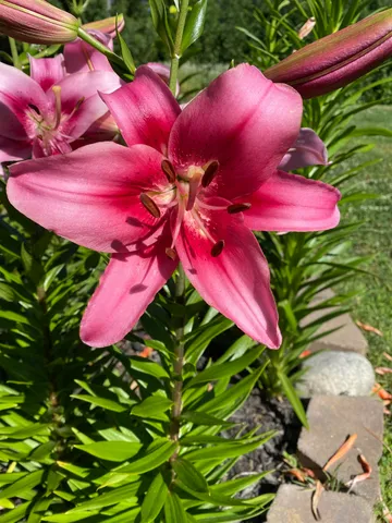 $325,000 | 85 Breezy Acres Drive, Vernon, VT 05354