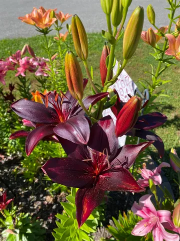 $325,000 | 85 Breezy Acres Drive, Vernon, VT 05354