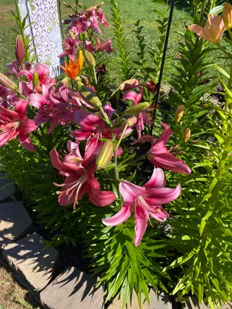 $340,000 | 85 Breezy Acres Drive, Vernon, VT 05354