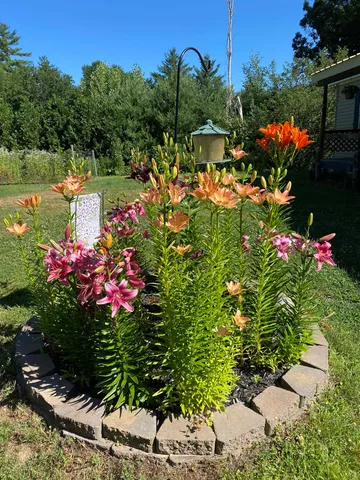 $325,000 | 85 Breezy Acres Drive, Vernon, VT 05354