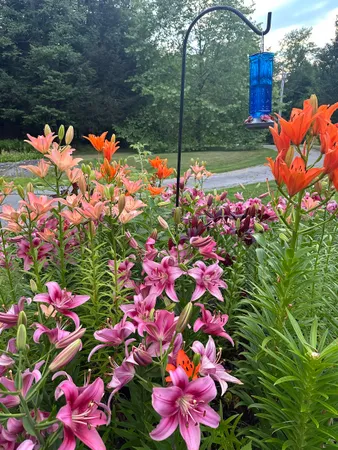 $340,000 | 85 Breezy Acres Drive, Vernon, VT 05354