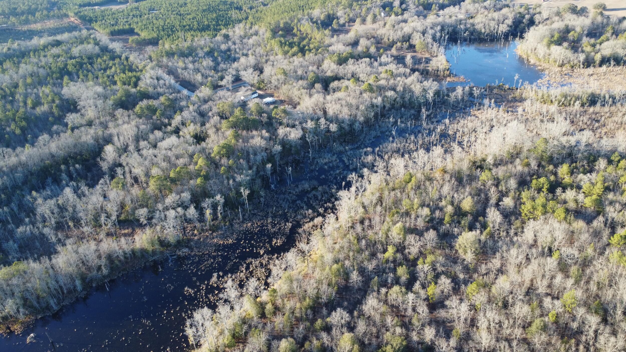 0 Millers Pond Road Salley, SC 29137 - Photo 13 of 28