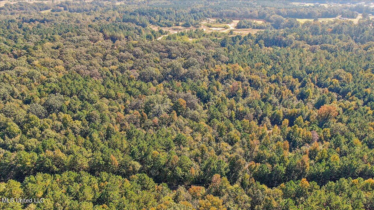 0 Cleary Road Florence, MS 39073 - Photo 18 of 25 18-00 Cleary Rd