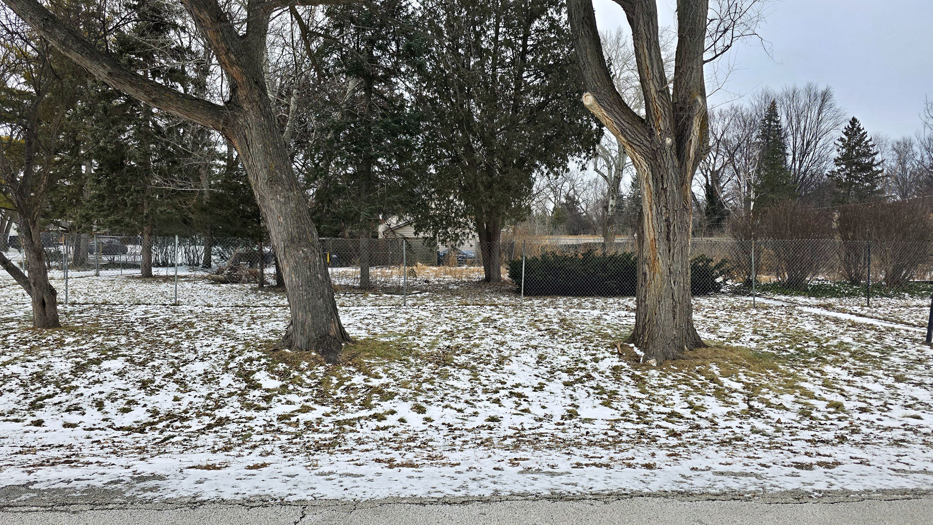 100 Hawthorne Place Prospect Heights, IL 60070 - Photo 3 of 5 a tree in the middle of the yard