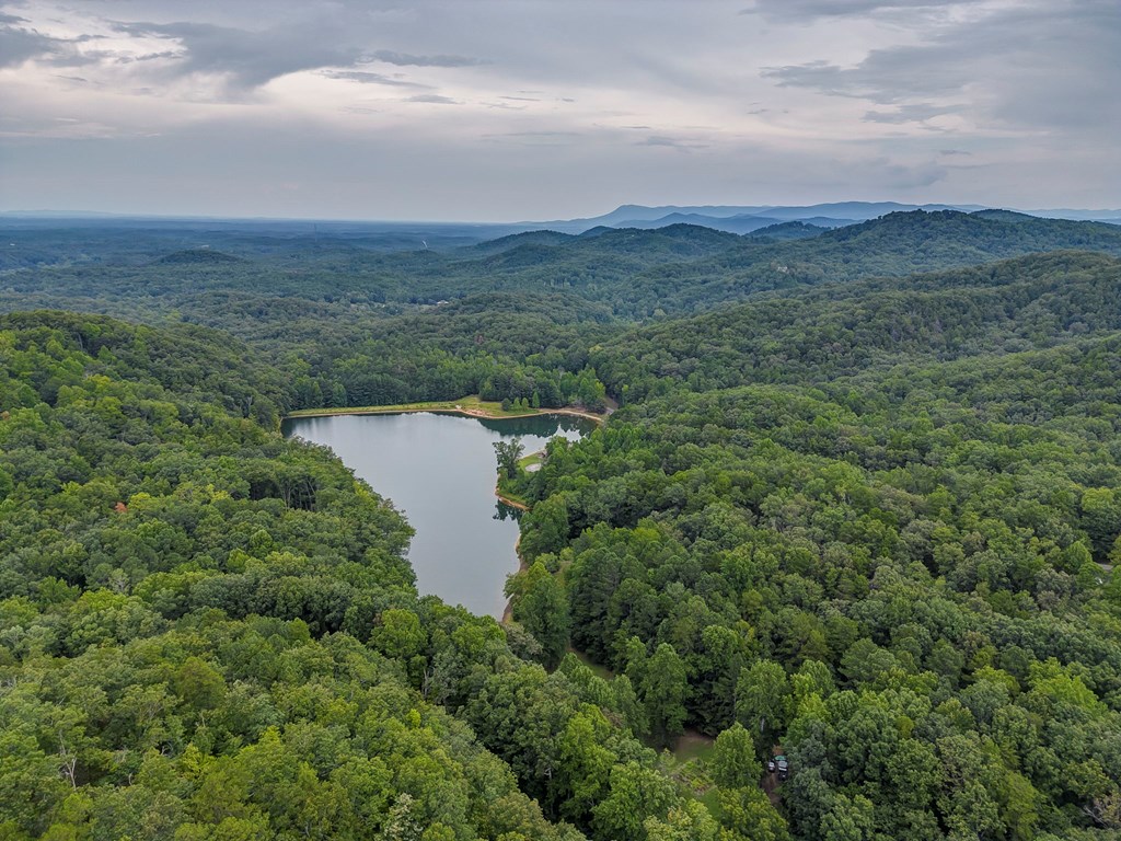 182 Stirratt Road Ranger, GA 30734 - Photo 10 of 82