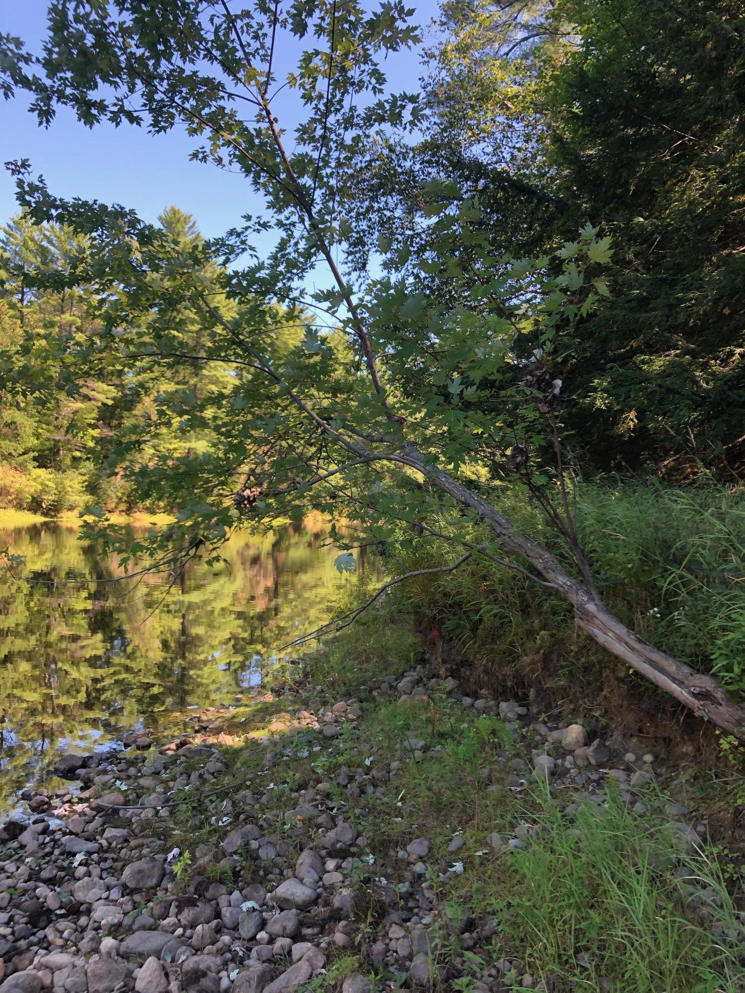 Lot 1-b River Road West Baldwin, ME 04091 - Photo 6 of 8 Photo Sep 06, 12 04 45 PM