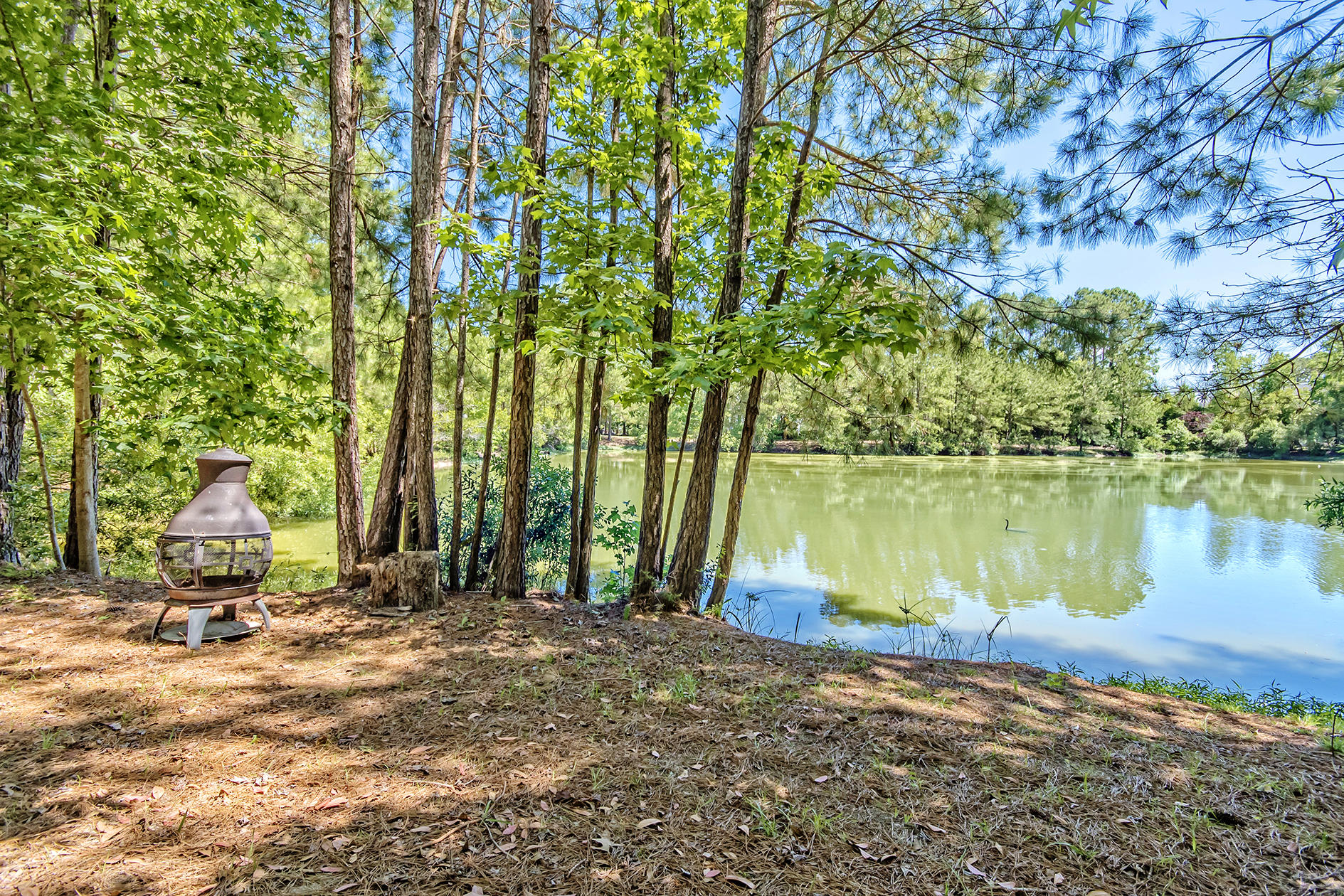 3581 Henrietta Hartford Road Mount Pleasant, SC 29466 - Photo 24 of 25 DSC_0363