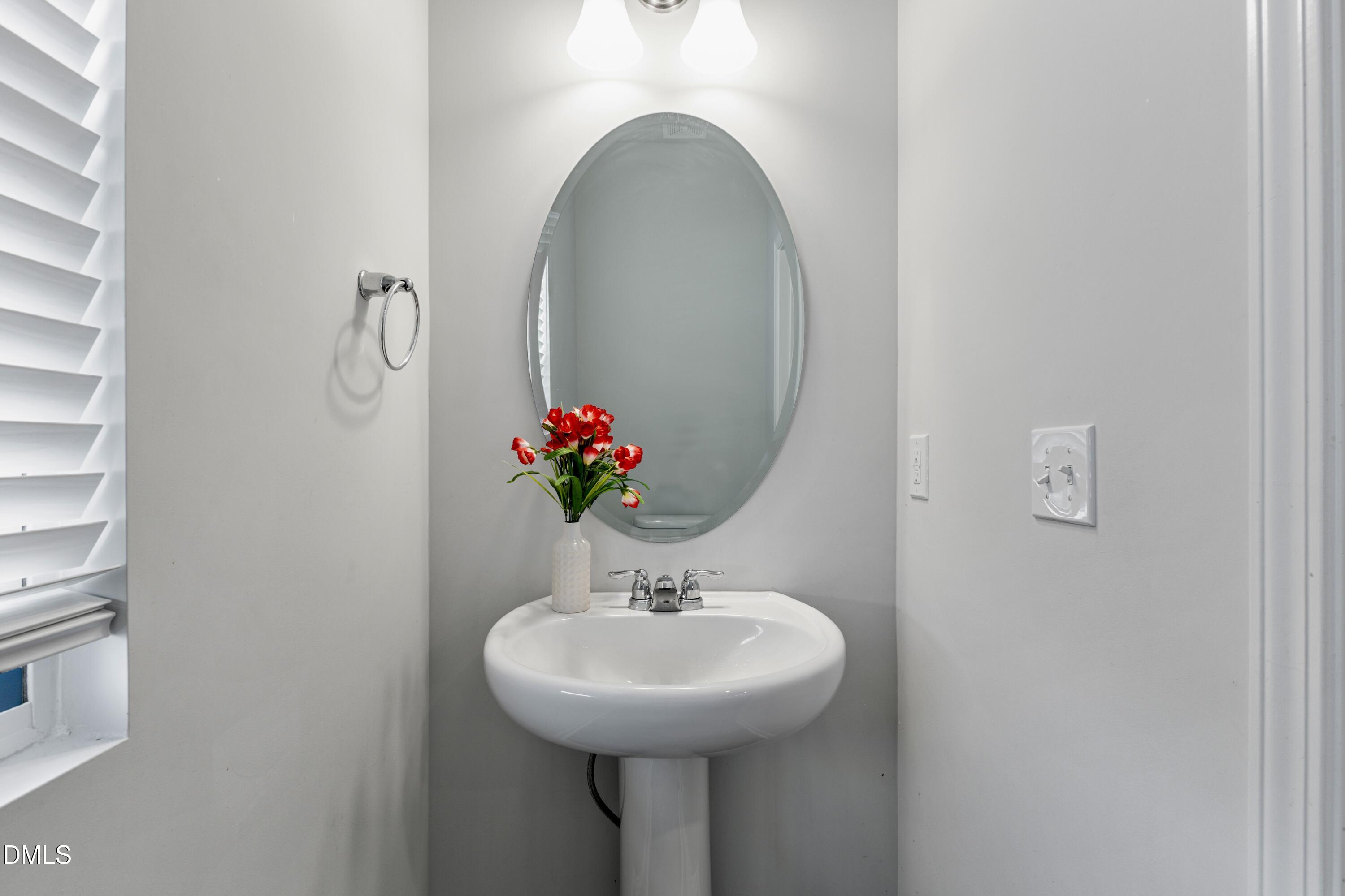 1811 Aspen River Lane Apex, NC 27502 - Photo 19 of 53 a bathroom with a sink and a mirror
