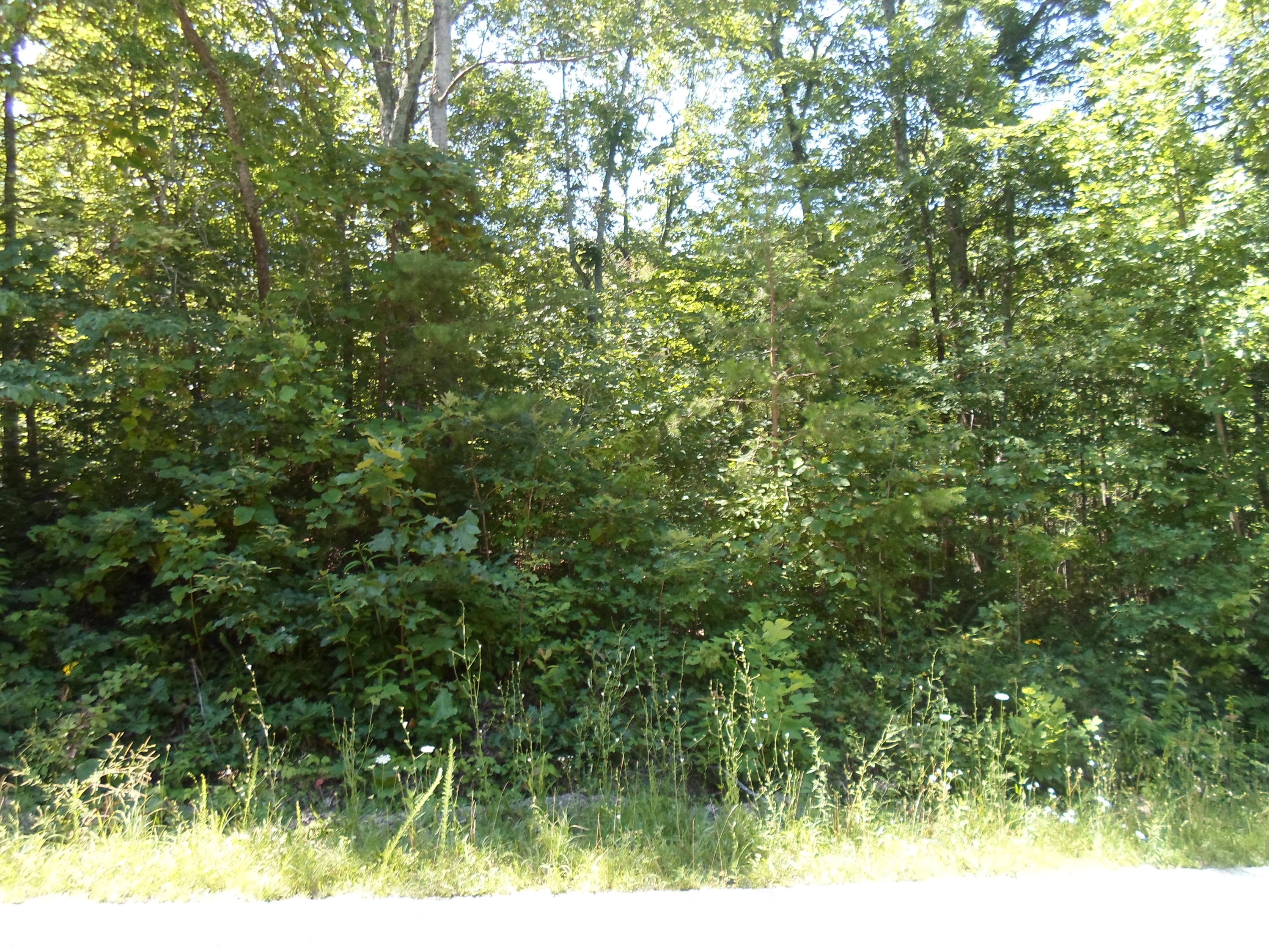 27 Brewer Road Crossville, TN 38572 - Photo 8 of 9 SAM_1832