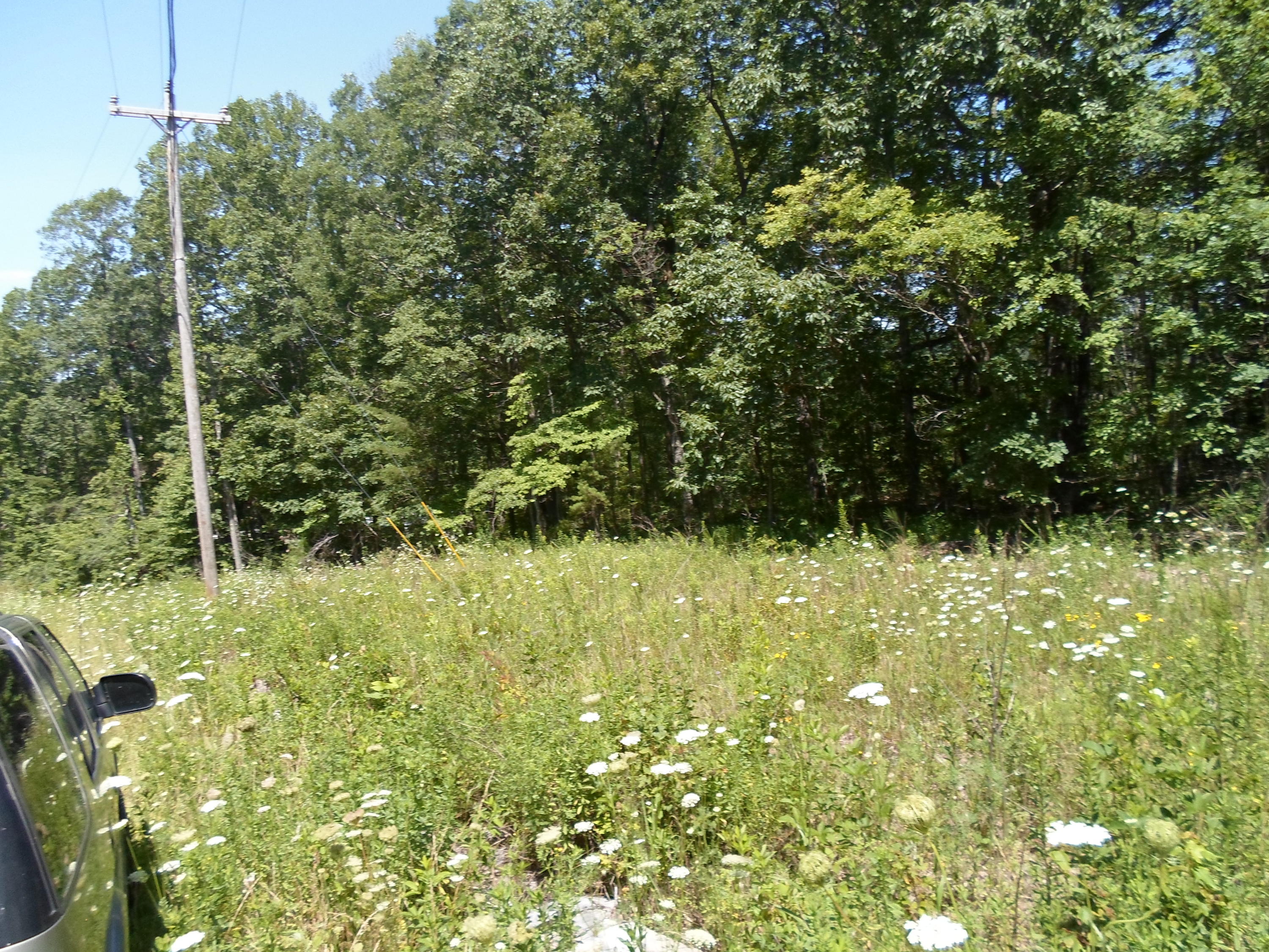 27 Brewer Road Crossville, TN 38572 - Photo 9 of 9 SAM_1834