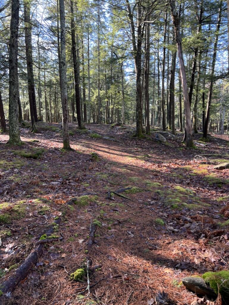 37 Lords Way Windham, ME 04062 - Photo 93 of 97 ABF1334A-73F8-44EA-92E2-60C7E75F3B71_1_1