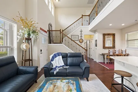a living room with furniture or couch and a potted plant