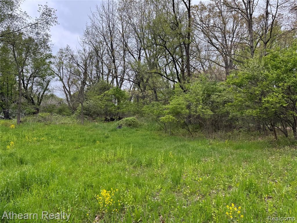 Vl Dutton Rd Dutton Road Gregory, MI 48137 - Photo 3 of 4