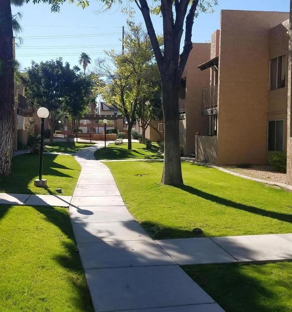 5525 East Thomas Road, Unit F1 Phoenix, AZ 85018 - Photo 14 of 14 a view of a park with large trees