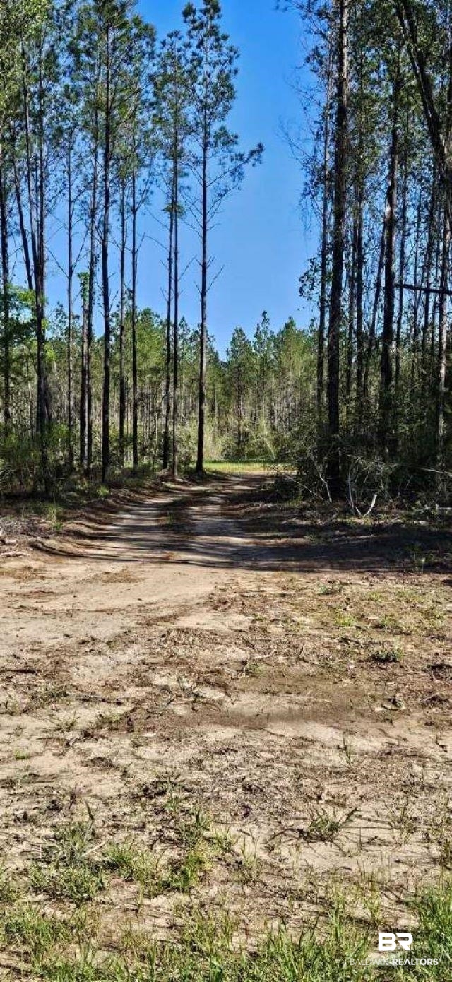 27861 New Hope Church Road Robertsdale, AL 36567 - Photo 26 of 29 View of local wilderness