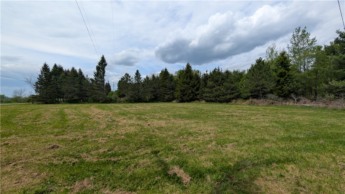 5820 Steam Mill Road Masonville, NY 13849 - Photo 10 of 47