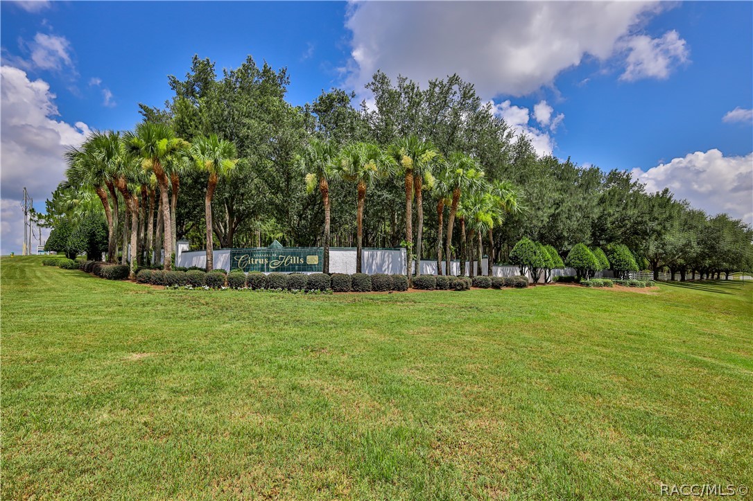 1154 East Triple Crown Loop Hernando, FL 34442 - Photo 70 of 82